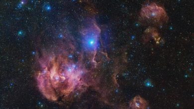 La nebulosa "Pollo Corredor" existe, una región del espacio tan grande que un pollo promedio tardaría casi 21,000 millones de años en cruzar