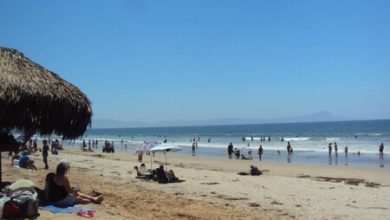 Seis playas de México tienen más materia fecal de la permitida en diciembre de 2023, Baja California y Chiapas los más afectados: Cofepris