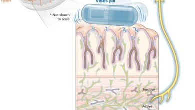 Un grupo de científicos creó una pastilla vibradora que "engaña" al cerebro para dejar de comer más rápido y bajar de peso