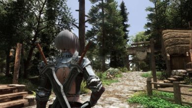 Un jugador de 'Skyrim' deja caer un queso robado y desencadena accidentalmente en un pueblo una guerra civil