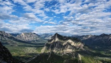 Un paso más para la planta de Tesla en México: la empresa obtiene permisos de uso de suelo para construir su gigafactory en Nuevo León