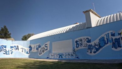 Artistas mexicanos reflexionan sobre los derechos humanos a través de la caligrafía y la tipografía