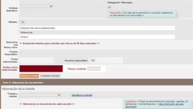 Cómo sacar cita por internet para renovar tu credencial del INE