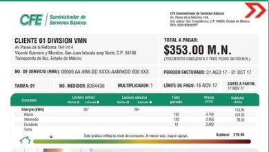 Cuál es el número de referencia en el recibo de la luz de la CFE en México