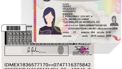 Elecciones 2024: cómo saber si mi credencial es válida para votar y cuál es la fecha límite para renovar mi INE
