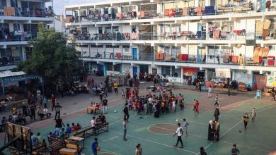Gaza, Día Internacional de la Educación, derechos humanos en México... Las noticias del miércoles