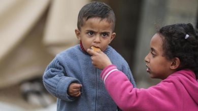 Israel-Palestina: En medio de la crisis de financiación de la UNRWA, los desesperados habitantes de Gaza buscan comida en los camiones
