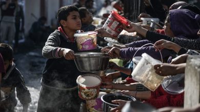 Israel-Palestina: Israel convierte los alimentos en arma contra Gaza, continuando un genocidio iniciado hace años, denuncian expertos