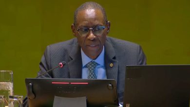 Israel-Palestina: La Asamblea General se reúne para debatir el veto de Estados Unidos en el Consejo de Seguridad