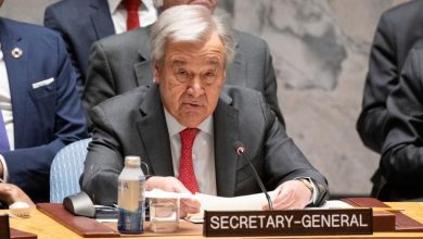 Israel-Palestina: La solución de los dos Estados es el único camino, afirma Guterres ante el Consejo de Seguridad