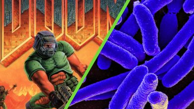Jugar 'Doom' en bacterias intestinales es posible: el problema es que para completarlo se requieren 599 años