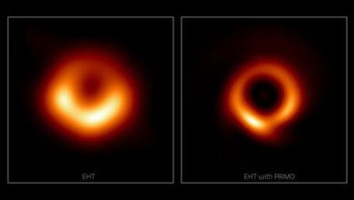 La nueva fotografía del primer agujero negro jamás capturado es un hito para la ciencia: Einstein siempre tuvo razón