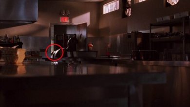 Pausa ‘Jurassic Park’ en el minuto 109 con 10 segundos y verás a los dinosaurios con otros ojos