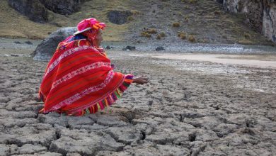 Perú: las reformas de la legislación forestal amenazan la supervivencia de los pueblos indígenas, advierte experto de la ONU
