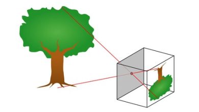 Puso una cámara, presionó el botón y ahora toma una foto con exposición de 1,000 años: esta es la "Cámara del Milenio"