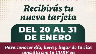 Tarjeta Bienestar 2024: requisitos y fechas en las que recibirás un nuevo plástico