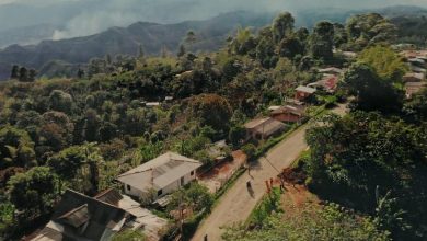 UNRWA, incendios en Colombia, migrantes en el Mediterráneo, gasas trans... Las noticias del lunes