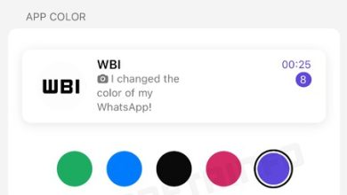 WhatsApp de distinto color: el verde de toda la vida se vuelve opcional en la nueva prueba para iOS