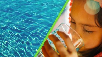 El Cutzamala sufre como nunca antes: funciona a menos del 40%, una cifra que alerta de una crisis que ya está aquí