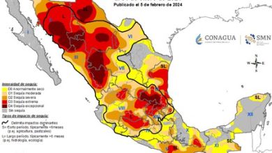 Es febrero y 60% de México ya tiene sequía: estos son los 12 estados más afectados