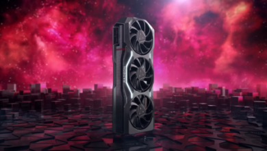 Este jugador visita en secreto una empresa que vende tarjetas gráficas en Amazon a precios muy bajos: realmente quiere saber qué se encuentra allí