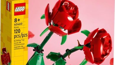 Estos paquetes de LEGO pueden ser el regalo perfecto para el, 14 de febrero: con envío gratuito, distintos diseños y pagos mensuales