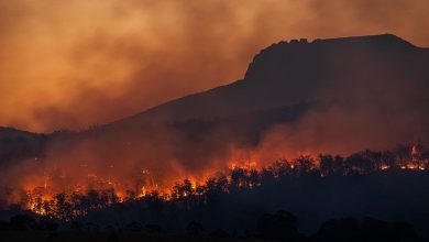 Guterres expresa sus condolencias a Chile por las víctimas de los incendios forestales y la ONU ofrece su ayuda