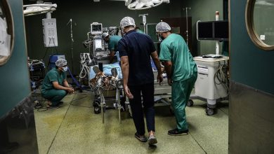 Israel-Palestina: El Programa Mundial de Alimentos suspende la entrega de ayuda en el norte de Gaza por la inseguridad