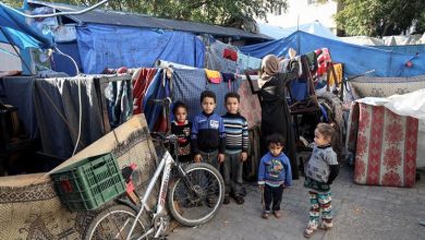 Israel-Palestina: El suministro de ayuda humanitaria a Gaza se reduce a la mitad desde enero