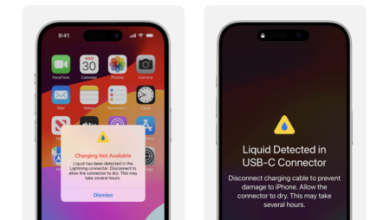 Mojar el celular no es tonto; meterlo al arroz sí y Apple explica por qué