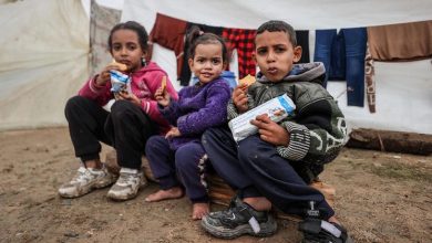 Veto en el Consejo de Seguridad, Gaza, apartheid de género...Las noticias del martes