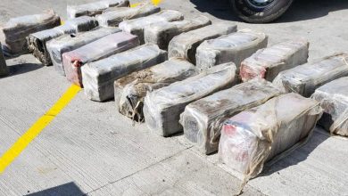El narcotráfico deforesta el Amazonas