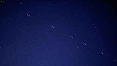 Elon Musk quiere dar internet a celulares Android y iPhone; su arma secreta: SpaceX y Starlink