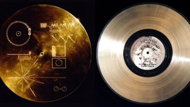 Esta es la canción mexicana que lleva más de 40 años viajando por el espacio a bordo de las sondas Voyager de la NASA