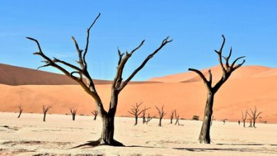 Este estudio predice en cuánto tiempo la Tierra será inhabitable y la razón es sorprendente