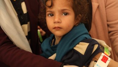 Israel-Palestina: Los peores temores sobre una hambruna cristalizan en Gaza, diez niños han muerto ya de hambre